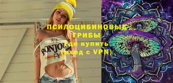 шишки Майский