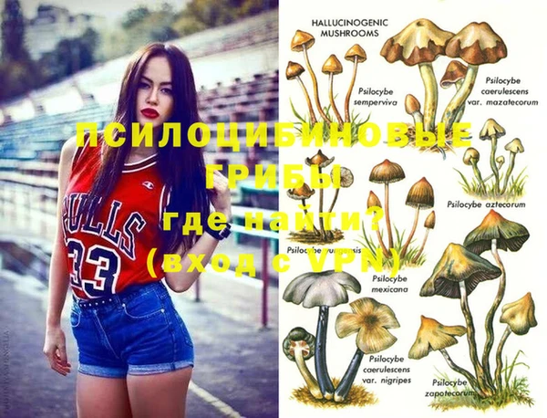шишки Майский
