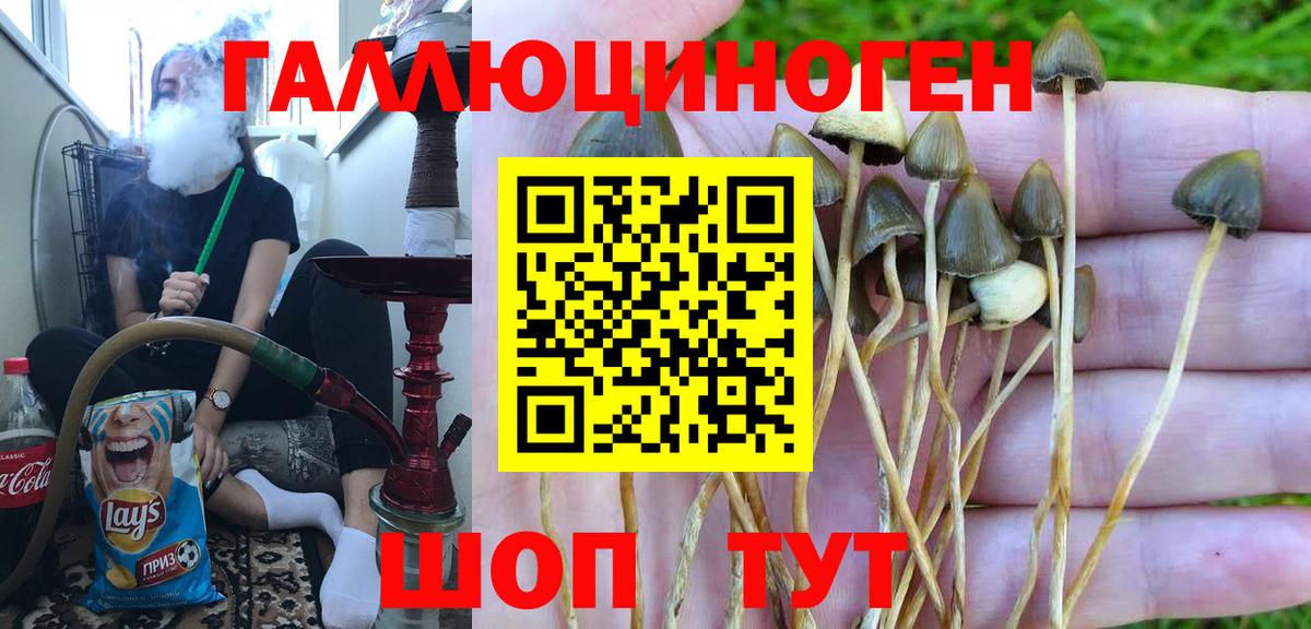 Галлюциногенные грибы ЛСД Усть-Кут