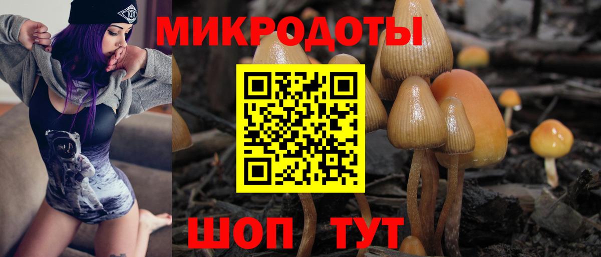 Галлюциногенные грибы Psilocybe  Вход с VPN  Усть-Кут 